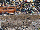 The Environmental a-z…the letter d