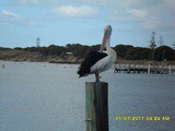 Travel Challenge Day 5…January 9th 2020
