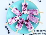 Blueberry Yogurt Popsicle