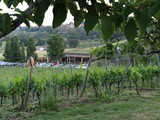 #greenfriday al Podere Lesignano, San Marino