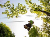 Skypark Rimini: un’esperienza unica di sport nella natura