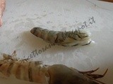 Pulizia dei gamberi