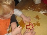 Iced Animal Biscuits