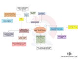 Mappa concettuale = l'alimentazione degli antichi romani