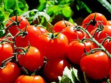 Pan Roasted Cheery Tomatoes
