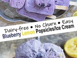 Dairy-free Blueberry Lemon Ice Cream (& Popsicle) Recipe