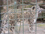 Gezilecek Görülecek Yerler - Wilhelma Hayvanat Ve Botanik Bahçesi 2 / Wilhelma Wilhelma Zoologisch-Botanischer Garten Stuttgart