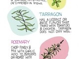 Know the Herbs