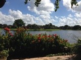My Morning Ride