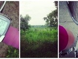 Savvy Cycling: Century Training Update