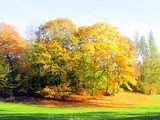 Spaziergang durch den Goethepark