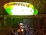 Restaurant Review | Rainforest Resto-Bar | Phoenix Market City | Pune