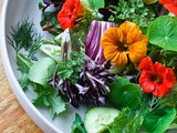 Edible flowers for your veggie garden