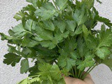 How to Freeze Parsley to Use Year Round