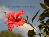 Event Hosting and a giveaway - Walk Through Memory Lane