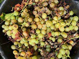 Di stagione: frutta, verdura e pesce da acquistare a settembre