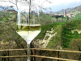 Le colline del Prosecco Docg, un panorama con vista sull’Unesco