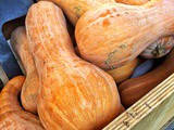 The pumpkin in the kitchen: variety, properties and recipes