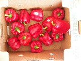 Processing Red Peppers