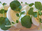 Sunday Musing - Open Face Egg Sandwiches