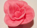 Diy tutoriel fleur en pâte à sucre