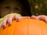 Spider, Cat and Pumpkin Soup