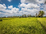 Cycling on Bali