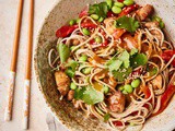 Noodle Salad with Chicken, Edamame, and Roasted Bell Pepper