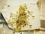 Learning About Germination Part i