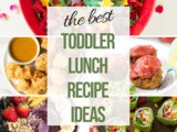 25+ Toddler Friendly Lunch Ideas