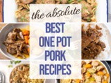 40+ One Pot Pork Recipes