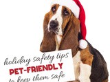 5 Smart Tips to Keep Your Pet Safe During the Holidays