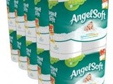 Angel Soft Toilet Paper just $0.20/roll + free Shipping