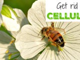 Anti Cellulite Essential Oil Recipe