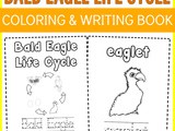 Bald Eagle Life Cycle Coloring and Writing Pages