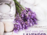 Benefits of Lavender Essential Oil