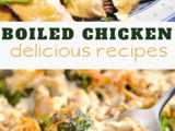 Boiled Chicken Recipes