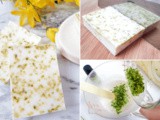 Coconut Lime Soap Recipe