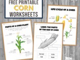 Corn Activity Set Worksheets
