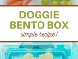 Doggie Bento Box for Lunch