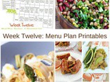 Easy to Follow Meal Plan {week 12}