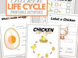 Educational Chicken Lifecycle Worksheets