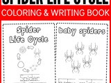 Educational Spider Life Cycle Handwriting and Coloring Pages