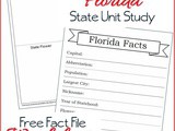Florida State Fact File Worksheets