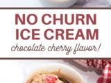 Homemade Chocolate Cherry Ice Cream Recipe