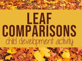 Leaf Comparisons Child Development Activity