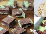 Mint Chocolate Fudge Recipe