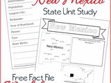 New Mexico State Fact File Worksheets