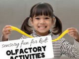 Olfactory Sensory Activities