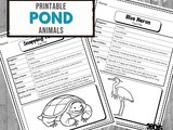 Pond Animal Fact Files